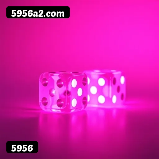 Níveis do programa VIP da 5956